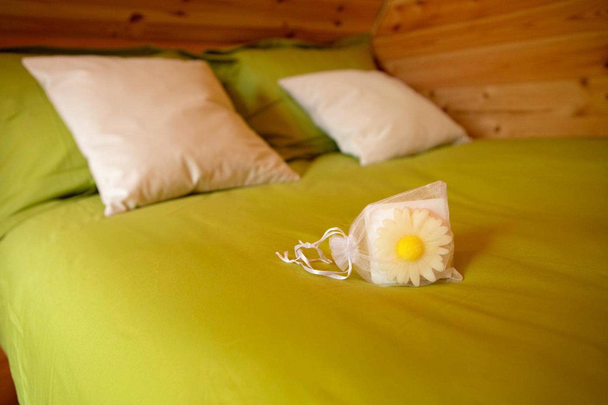 Au Pied Du Frene Villa Herzeele Ngoại thất bức ảnh